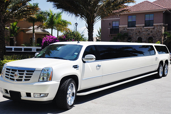 20 Passenger Limo